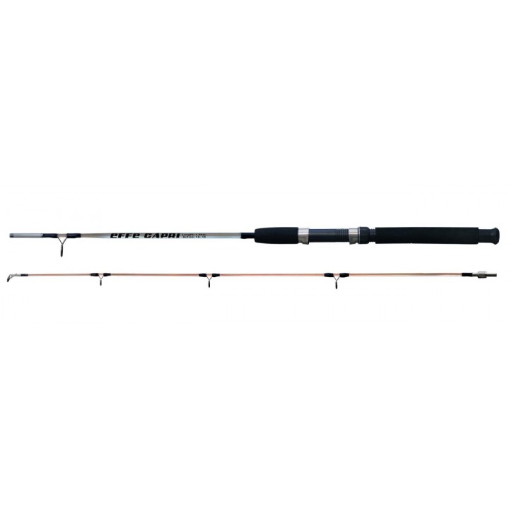 EFFE CAPRİ 180 CM BOT KAMIŞI (10-15 LBS)