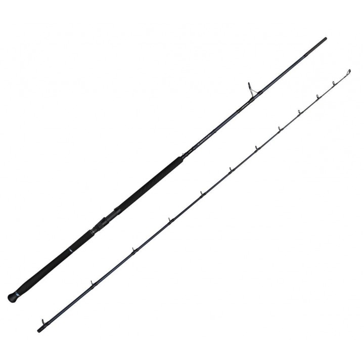 Savage Gear Defiance SG2 Shore Jig 3.05m 60-150gr 2 Parça Olta Kamışı